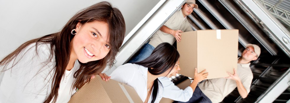 Professional Removalists Horfield